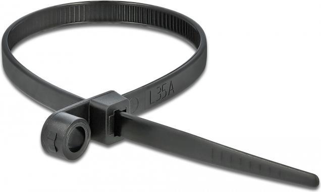 Image du produit Delock Cable tie avec oeillet de fixation (160 mm, 10 pcs)