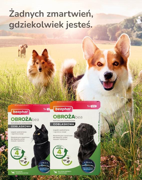 Produktbild beaphar Bea Halsband gegen Flöhe und Zecken - 65 cm (Hund, Hundesport)