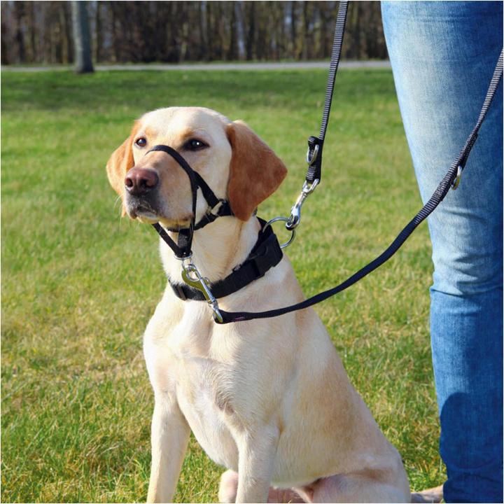 Produktbild Trixie TopTrainer Ausbildungsgeschirr XL (XL, Hund, Allgemein)