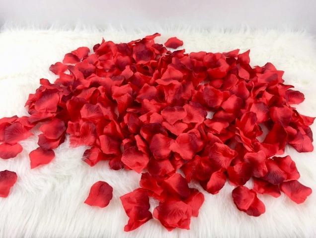 Image du produit Partydeco Roses à bord sombre