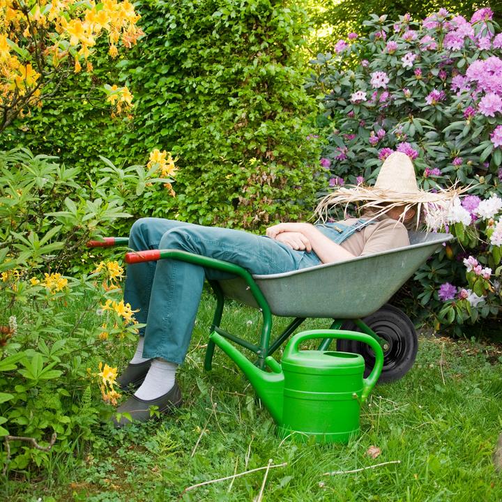 Actual product image Relaxdays Wheelbarrow wheel