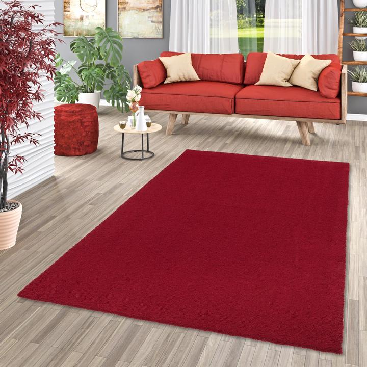 Immagine prodotto Snapstyle Tappeto Shaggy di lusso in velluto (80 x 160 cm)
