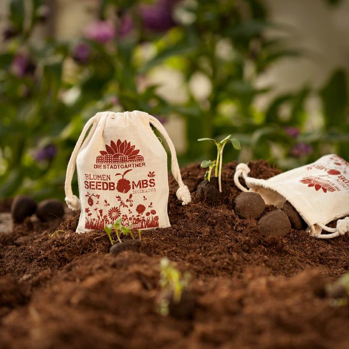 Produktbild Die Stadtgärtner Samenbomben Bienenschmaus (Blumensamen)