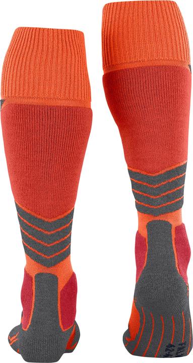 Actual product image Falke Kniestrümpfe SK1 (39 - 41)