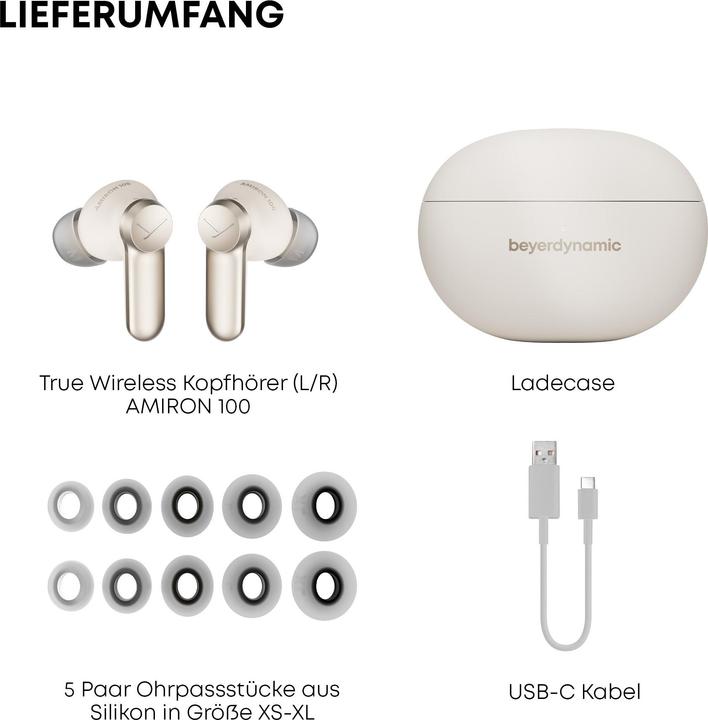 Image du produit Beyerdynamic Amiron 100 (ANC, 6 h, Sans fil)