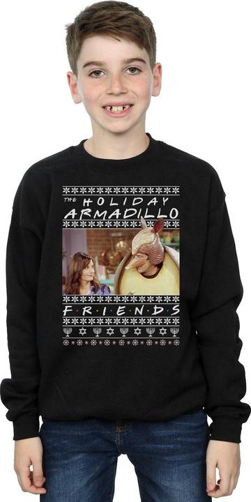 Produktbild Friends Fair Isle Holiday Armadillo Sweatshirt Jungen (140, 146)