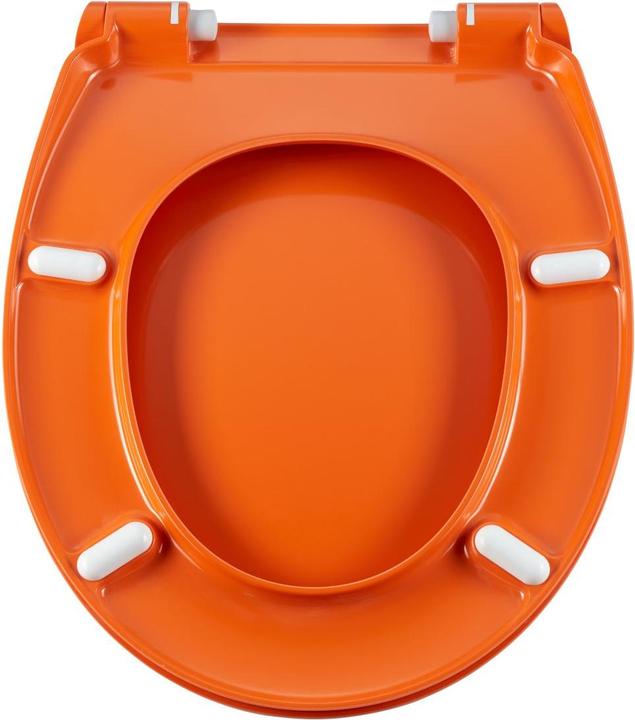 Actual product image Diaqua Colors