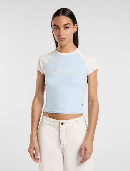 Actual product image Dickies Rope Ss Tee W Skyway (L)
