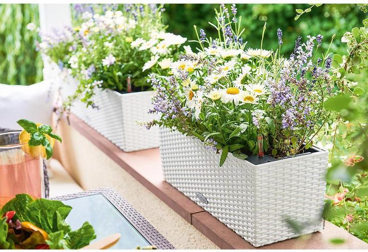 Immagine prodotto Lechuza Fioriera Balconera Cottage 50 (19 cm)