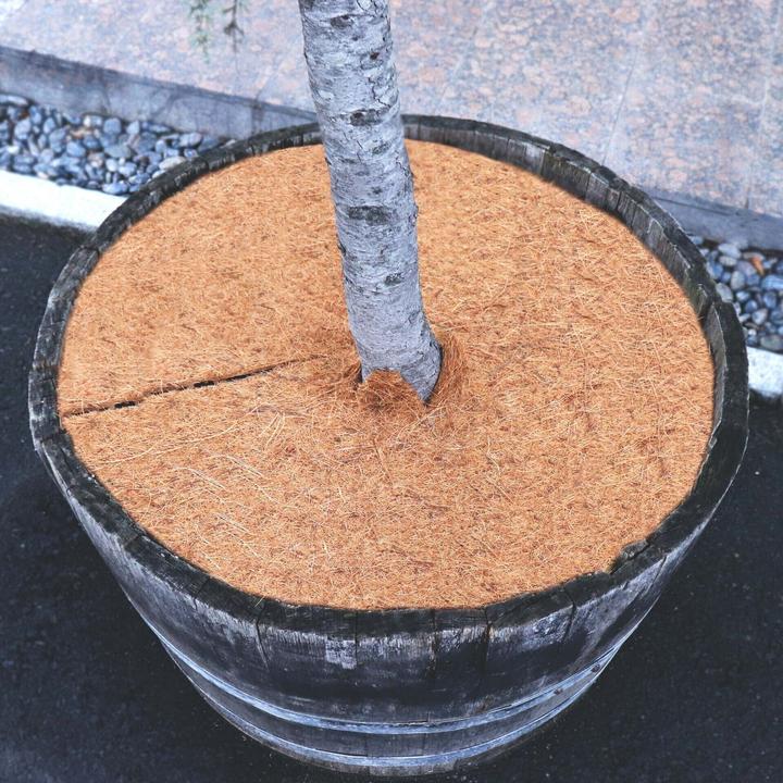 Actual product image Aquagart 2 Kokos Mulchscheiben 30cm Kokofasermatte Kokosfaser Pflanzenschutzmatte Kokos