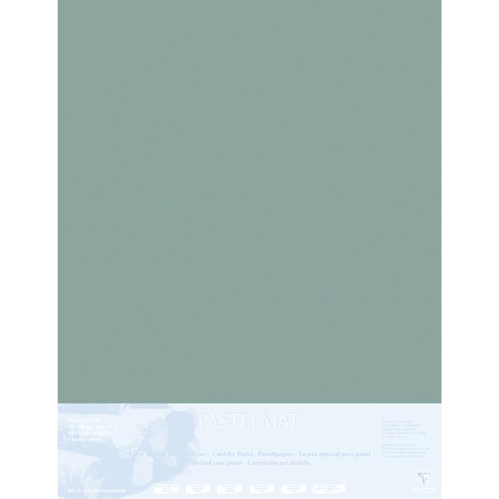 Actual product image Clairefontaine Pastelmat paper (5 x)