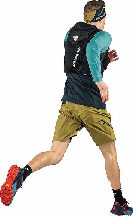 Produktbild Dynafit Alpine Laufschuh (42)