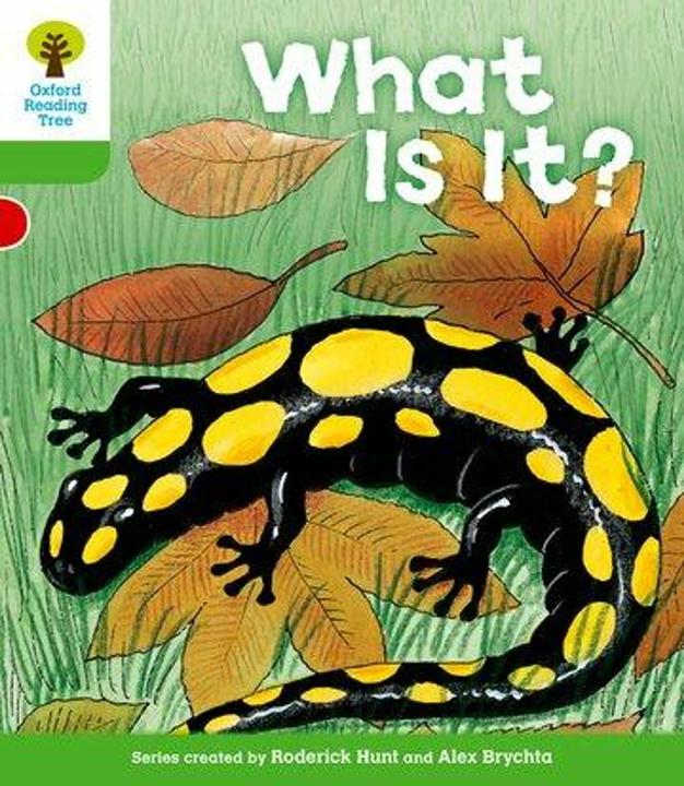 Produktbild Oxford Reading Tree: Level 2: More Patterned Stories A: What is it? (Englisch, Roderick Hunt, Alex Brychta, 2011)