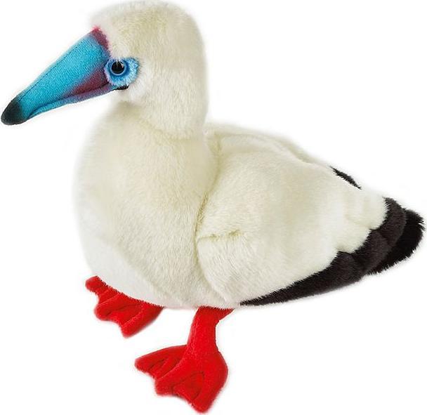 Produktbild National Geographic Rotfuss Tölpel (35 cm)