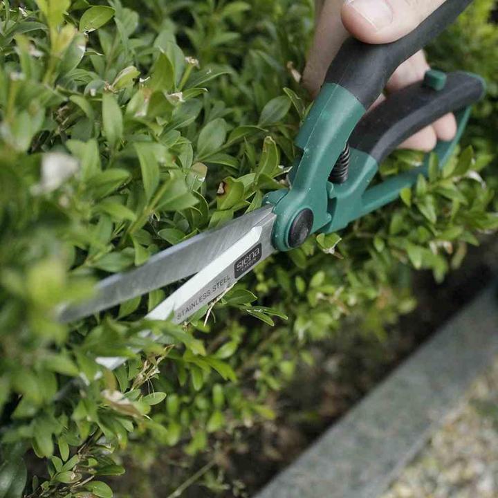 Immagine prodotto Siena Garden Siena Cesoie per topiaria CB2100 Lunghezza: 27 cm, con impugnatura morbida