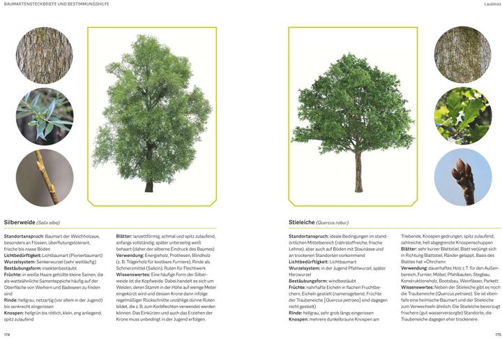 Produktbild Waldbau für Jäger (Deutsch, Beatrice Jäger, 2023)