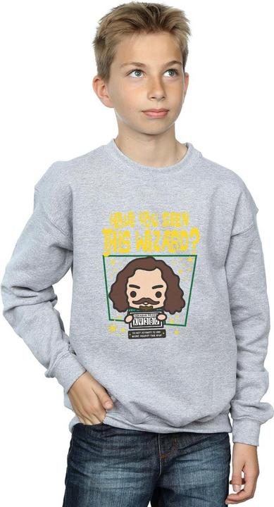 Produktbild Sirius Black Azkaban Junior Sweatshirt Jungen (140, 146)