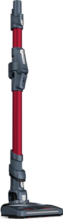 Image du produit Rowenta X-Force Flex 8.60