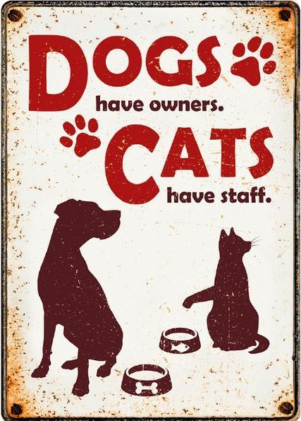 Immagine prodotto Plenty gifts Waakbord Blik I cani hanno padroni I gatti hanno personale (21 x 15 cm)
