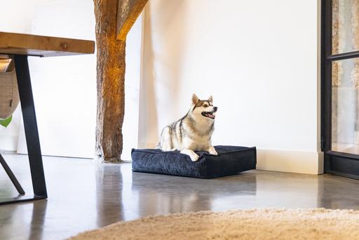 Produktbild Designed by Lotte Liegekissen (Hund)