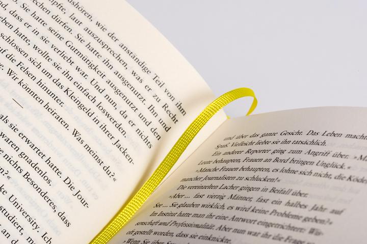 Actual product image Das grosse Spiel (German, Eva Bonné, Richard Powers, 2024)