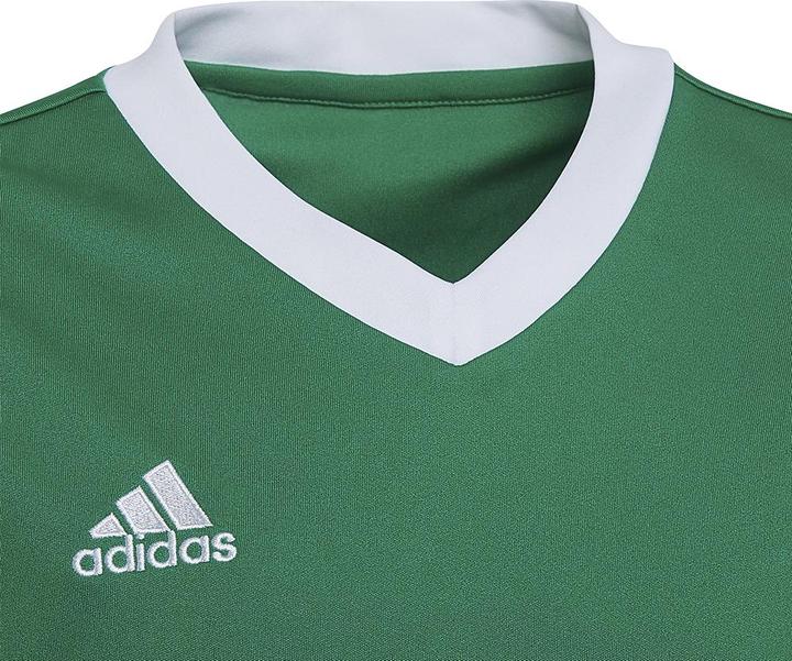 Produktbild adidas Entrada 22 Trikot (164)