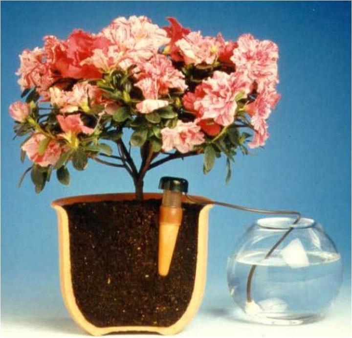 Image du produit Blumat Goutteur final XL (Cône d'argile)