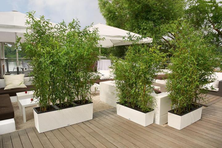 Produktbild Lechuza Blumentopf Trio Cottage 40 (42 cm)