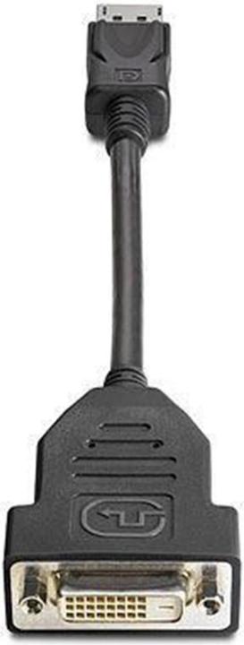 Image du produit HP Adaptateur DisplayPort vers DVI-D - Disp (DVI, 19 cm)