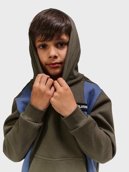 Actual product image hummel hmlALLTON HOODIE (104)