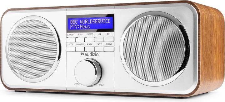 Actual product image Audizio Novara Silber (FM, DAB+)