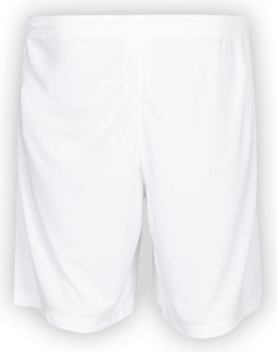 Actual product image Nike Park Iii Short (S)
