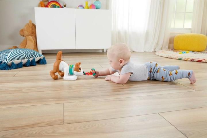 Actual product image Fisher-Price Crawling Dog Bello
