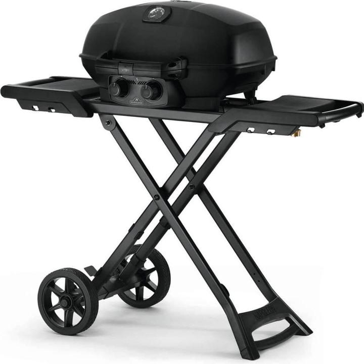 Actual product image Napoleon TravelQ Pro 285 X (4.10 kW)