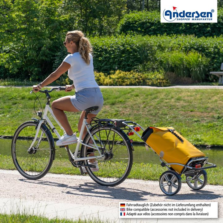 Image du produit Andersen Royal Shopper Plus Ortlieb