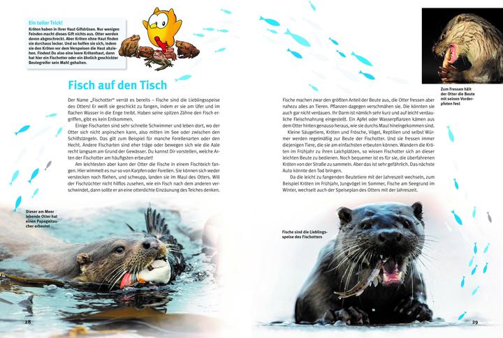 Image du produit Entdecke die Otter (Allemand, Krüger, Hans-Heinrich(Dr.), 2023)