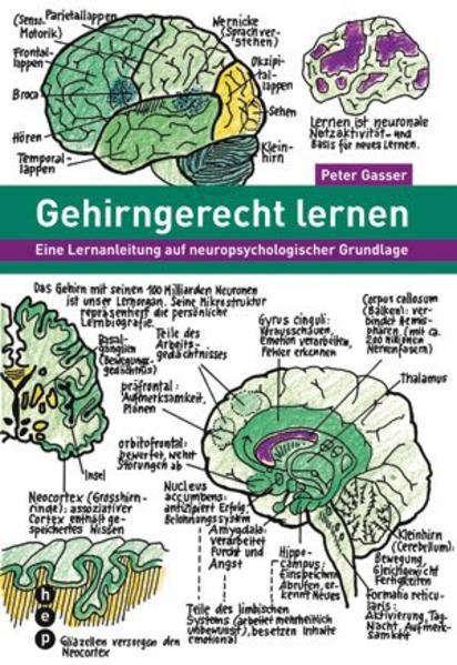 Produktbild Gehirngerecht lernen (Deutsch, Peter Gasser, 2010)