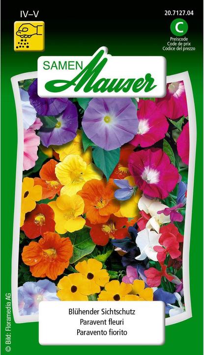 Actual product image Samen Mauser Flowering privacy screen (Plant seeds)