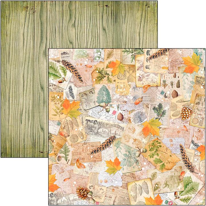 Produktbild Ciao Bella Scrapbook-Papier "Into the Wild", 12 Blatt, 30,5 x 30,5 cm (190 g/m², 12 x)