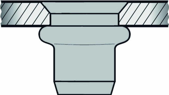 Actual product image Gesipa Blind rivet nuts M6 9x17.0 Alu