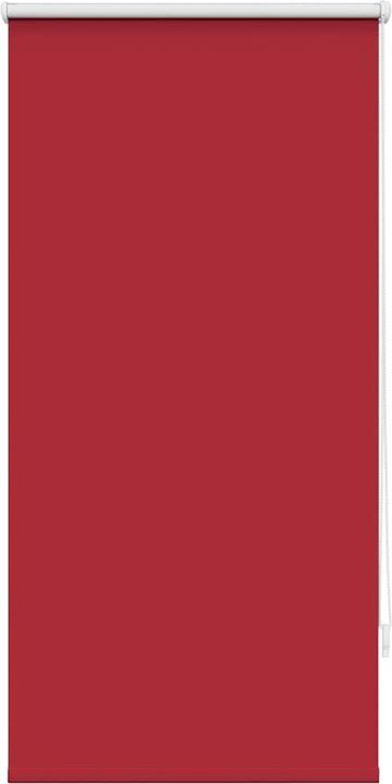 Rot