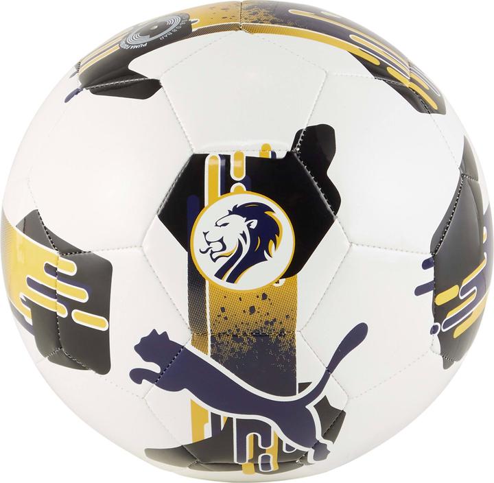Produktbild Puma Orbita 6 SPFL 2024/25