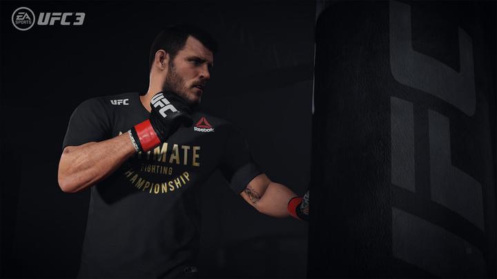 Image du produit EA Games Les succès de la PlayStation : UFC 3 (PS4, DE)