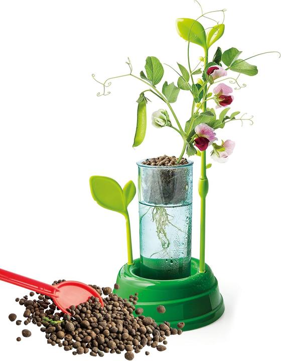 Actual product image Clementoni Botany