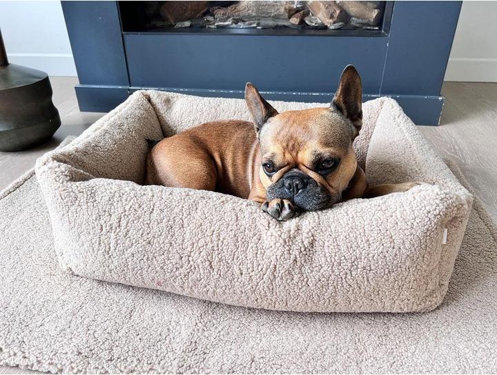 Immagine prodotto Laboni Letto per cani Classic Teddy M (Cane)