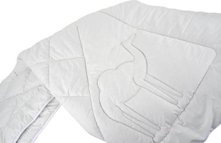 Immagine prodotto Aspero Piumino in pelo di cammello RENNES (2300 g, 155 x 220 cm)