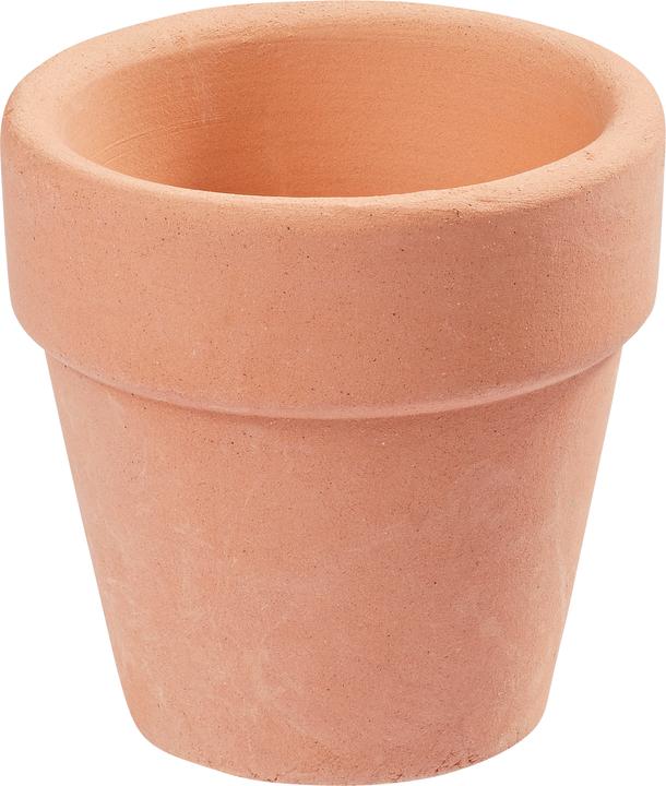 Immagine prodotto Hobby Fun Mini vaso da fiori in terracotta