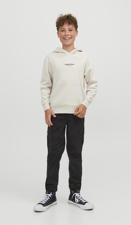 Image du produit Jack & Jones Sweat à capuche (176)