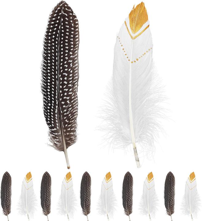 Actual product image Widmann Indian feathers set