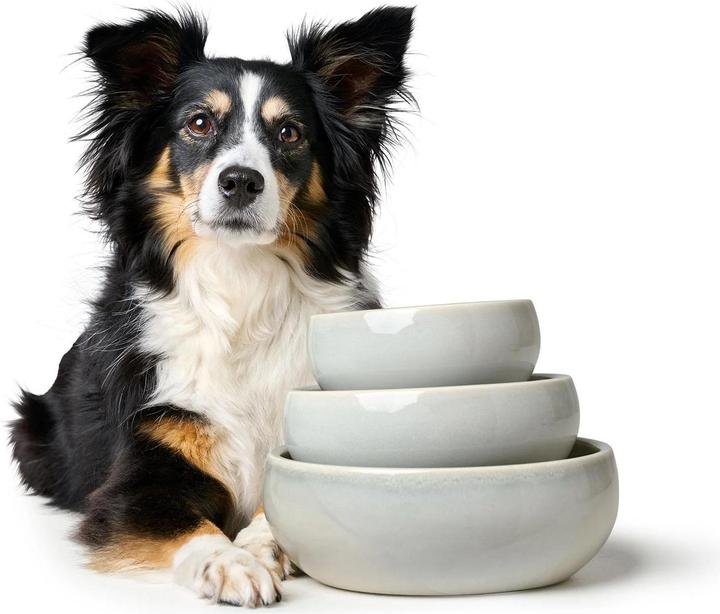 Immagine prodotto Hunter Ciotola per cani in ceramica Lisboa (0.55 l)